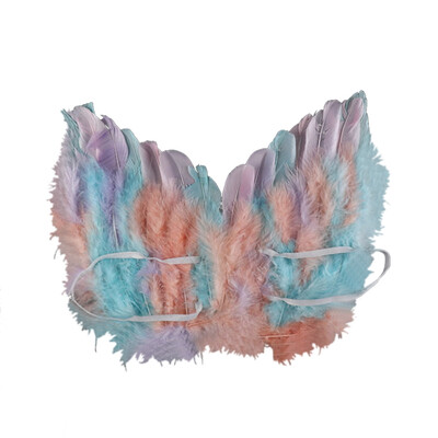 

Colorful Angel Feather Wings Halloween Feather Wings For Children Performance Stage
