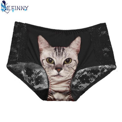

Hot Sale Sexy Women Briefs Cool Seamless Health Hygiene Skin Care 3D Cat Print Panties Lace Super Transparent Girl Lingerie