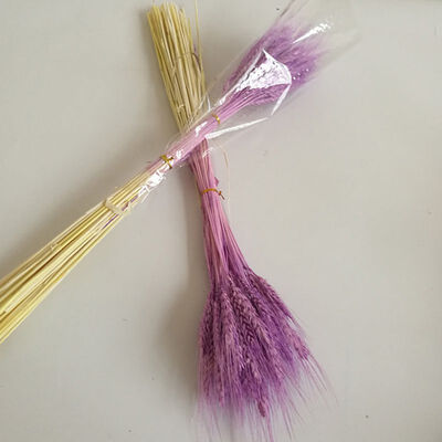 

50 PCS Wheat Ears Artificial Plants For Home Decorations Festive Supplies For Milk Tea Shop