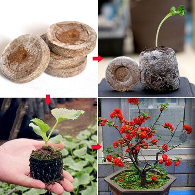 

Environmental Peat Pellets Seedling Jiffy Transplanting NURSERY Seed Soil Block