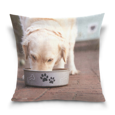 

ALAZA Throw Pillow Case Decorative Pillow Covers 16 X 16 inch Labrador Dog Pattern Pillowcase