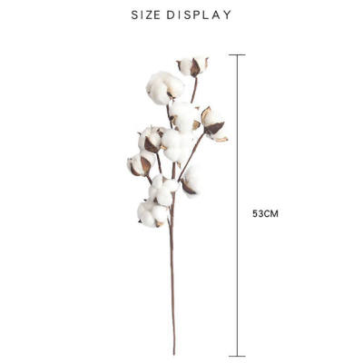 

Natural Cotton Flower Branch Home Garden Dried Flower Arrangement Vase Display Flower Supplies Valentines Day parure de mariage