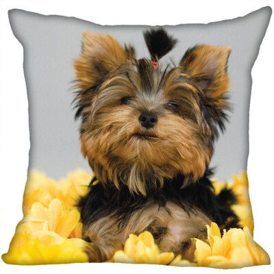 

Yorkshire Terrier Pillow Cover Bedroom Home Office Decorative Pillowcase Square Zipper Pillow Cases Satin Fabric No Fade