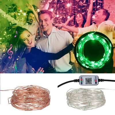 

Willstar USB Fairy String Lights 16 Color Changing LED Fairy Lights with Music Starry Lights Waterproof Wire String Light