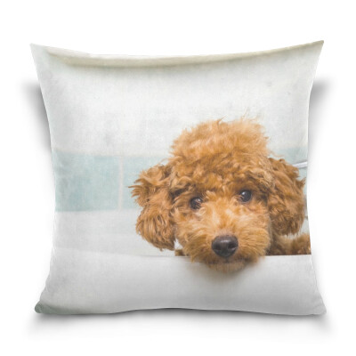 

ALAZA Throw Pillow Case Decorative Pillow Covers 16 X 16 inch Shaggy Brown Poodle Puppy Pattern Pillowcase