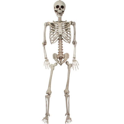 

165CM Halloween Crazy Bonez Pose Stay Skeleton