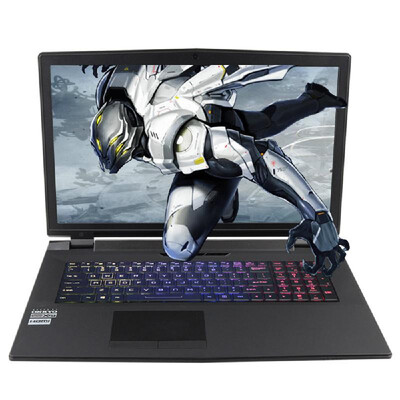 

HASEE ZX7-KP5S1 Laptop Notebook PC 156" 19201080 HD Display for Intel i5-7400 Processors GTX1060 6G GDDR5 8GB DDR4 1TB HDD 128G