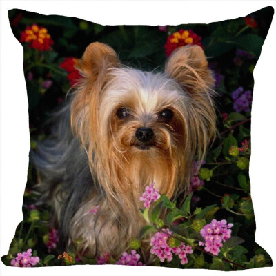 

Yorkshire Terrier Pillow Cover Bedroom Home Office Decorative Pillowcase Square Zipper Pillow Cases Satin Fabric No Fade