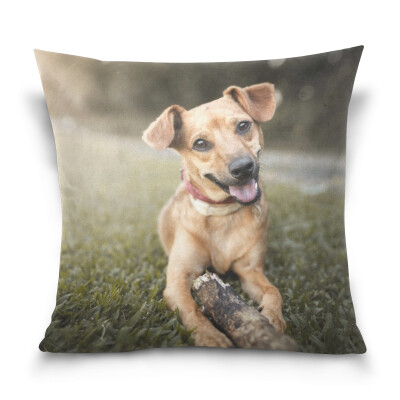 

ALAZA Throw Pillow Case Decorative Pillow Covers 16 X 16 inch Mutt Dog Pattern Pillowcase