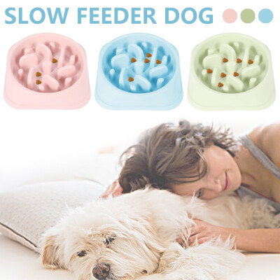 

Slow Food Dog Cat Creative Design Slow Down Eating Feeders Anti-choke Pet Supplies Dog Bowl