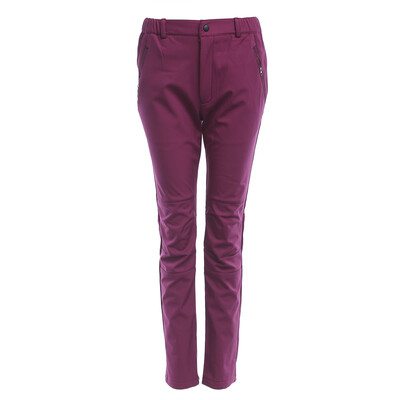 

Women Waterproof Windproof Thick Warm Fleece Pants Climbing Camping Hiking Skiing Trousers