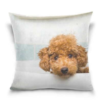 

ALAZA Throw Pillow Case Decorative Pillow Covers 16 X 16 inch Shaggy Brown Poodle Puppy Pattern Pillowcase