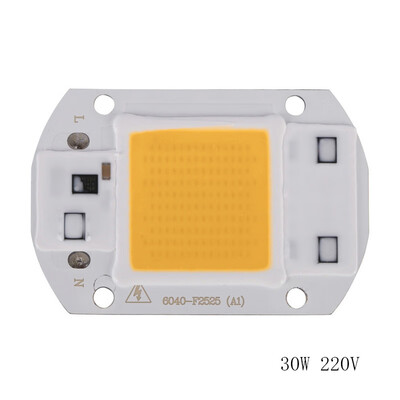 

LED Chip 220V LED COB Bulb Chip Input IP65 Smart IC Fit For DIY LED Flood Light LED Modules 20W 30W 50W