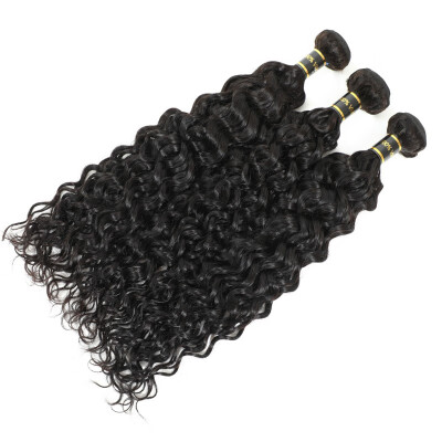 

Amazing Star Brazilian Virgin Hair Water Wave 3 Bundles Curly Wave Bundles Human Hair Extensions Wet&Wavy Natural Color