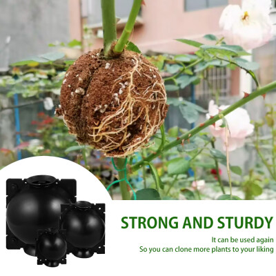 

Willstar 6Pcs Plant Rooting Ball Grafting Rooting Growing Box Breeding Case for Garden SML