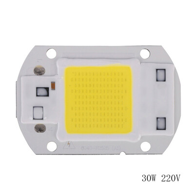 

LED Chip 220V LED COB Bulb Chip Input IP65 Smart IC Fit For DIY LED Flood Light LED Modules 20W 30W 50W