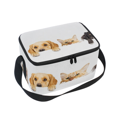 

ALAZA Lunch Box Insulated Lunch Bag Large Cooler Dogs And Cats Peeking Over Web Banner Tote Bag