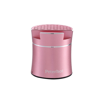 

PTH307 Portable Mini Wireless BT Speaker Series 11 Small Speakers Mobile Phone Bracket Shake to Change Song Subwoofer Silver Grey