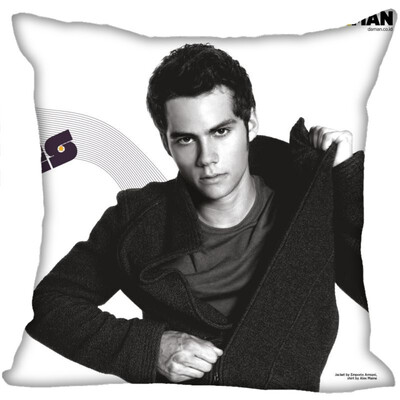

Dylan Pillow Cover Bedroom Home Office Decorative Pillowcase Square Zipper Pillow Cases Satin Fabric No Fade