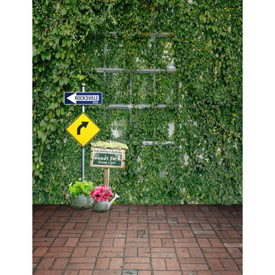 

Just Green Wall Photo Backdrop 57FT Vinyl Fabric Cloth Digital Printing Photo Background s-2384