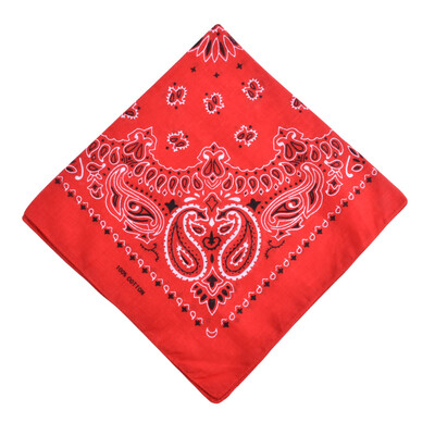 

Men Women Square Scarf Paisley Bandana Hair Band Neckerchief Hip Hop Kerchief Unisex Headwear