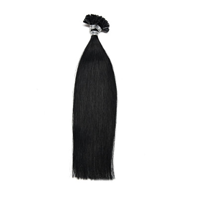 

Neitsi 12inch 50 Strands U Tip Hair Extensions Keratin Fusion Human Hair Extensions Straight