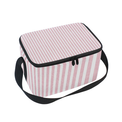 

ALAZA Lunch Box Insulated Lunch Bag Large Cooler Tote Bag Pink Stripe for Men Women Girls Boys