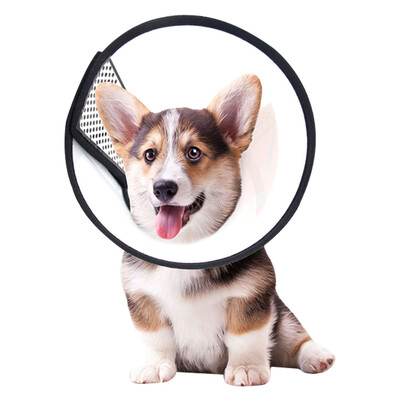 

Dream Bubble Elizabeth Circle Dog Collar Dog Head Set Cat Collar Pet Dog Collar Cat Head Cover Anti-Bite Circle Dog Supplies 3