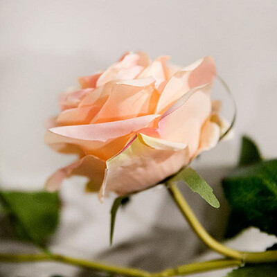 

Yiwu supply Guangzhou artificial flower wholesale 18 meter rose rattan wedding home decoration fake flower ornament wall hanging