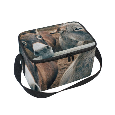 

ALAZA Lunch Box Insulated Fauna Donkey Lunch Bag Large Cooler Tote Bag for Men Women