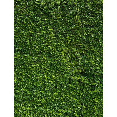 

Green Flower Photo Backdrop 57FT Vinyl Fabric Cloth Digital Printing Photo Background s-2400