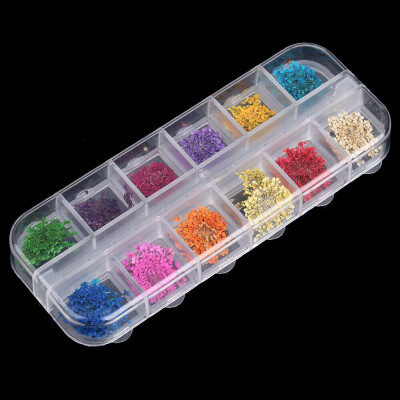 

12 Cell Empty Transparent Plastic Storage Beads Case for Storing False Glitter Rhinestones Shiny Sheets Dired Flower or Other Nail