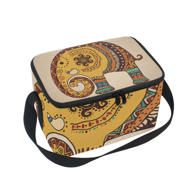 

ALAZA Insulated Lunch Box Roma Vintage Elephant Lunch Bag for Men Women Portable Tote Bag Cooler Bag