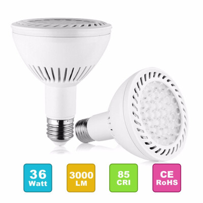 

PAR30 LED Flood Light Bulb 350W Replacement 36W E27 Medium Base 6000K White