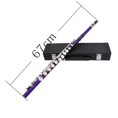 

Western Concert Flute Cupronickel Plated Silver 16 Holes C Key Woodwind Instrument with Cleaning Cloth Stick Gloves Mini Screwdriv