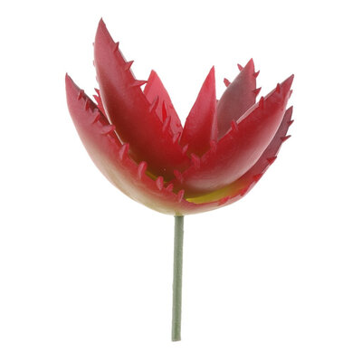 

UpperX Succulent Plant Fake Garden Decoration 9 x 85cm Purple- 11