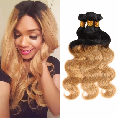 

Nami Hair Ombre Color T1B27 Brazilian Human Hair Bundles Body Wave 3 Pieces 100 Human Hair Extensions