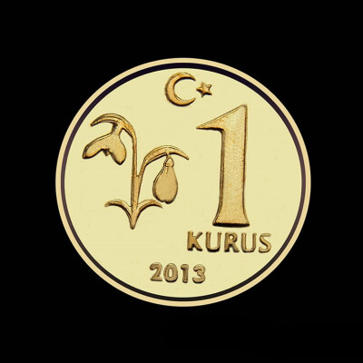 

165MM Turkey 1 Kurus Coin