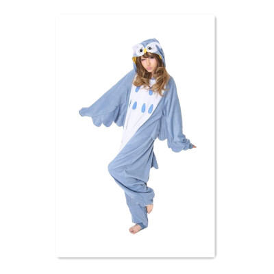 

Blue Owl Winter Pajamas Womens Pajamas Set Flannel Pajamas Adult Pajamas Winter Pajamas Set