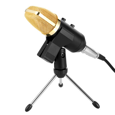 

Professional Condenser Microphone Studio Sound Recording Broadcasting with Reverberation Echo Function with Anti-wind Sponge Cover