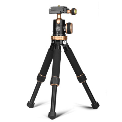 

QZSD Q166Z Lightweight Aluminum Alloy Travel Mini Tripod with Ball Head for DSLR Camera Camcorder