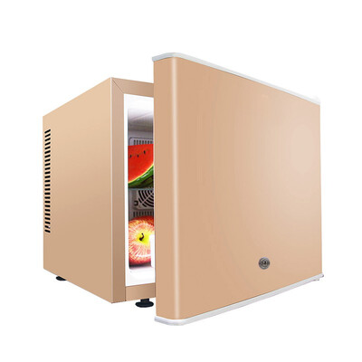 

Mini fridge with Plastic Door thermoelectric type 20L
