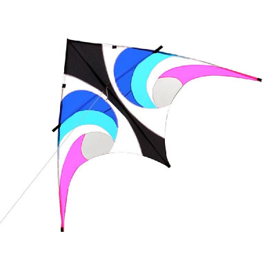 

Colorful Huge Delta Kite Outdoor Sport Single Line Flying Kite with 30m Flying Line for Kids Adults