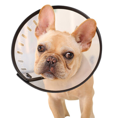 

Hoopet dog hooded cat hood hood anti-bite ring pet collar 4