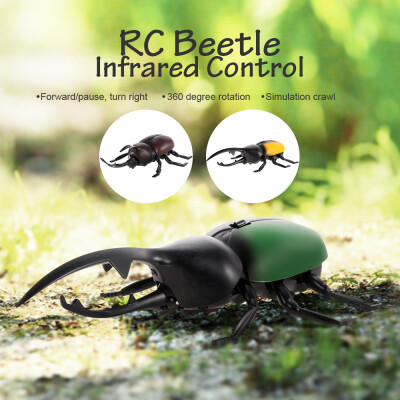 

RC Beetle Kids Toy