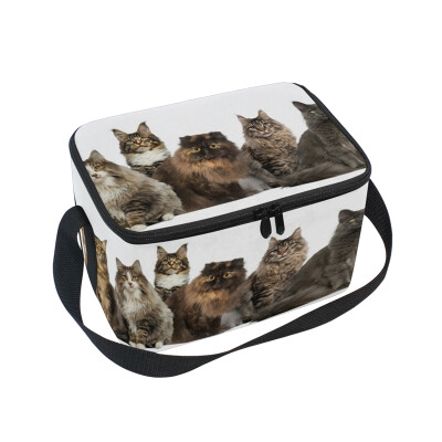 

ALAZA Lunch Box Insulated Lunch Bag Large Cooler Many Cats Sitting Row Tote Bag