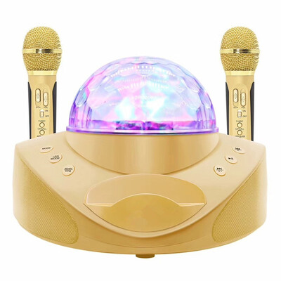 

Colorful lights Bluetooth speaker karaoke machine portable stage light home ktv wireless microphone mobile phone audio TF player