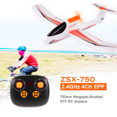 

ZSX-750 24GHz 4CH EPP 750mm Wingspan RTF Brushed RC Airplane Aircraft