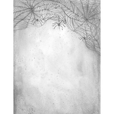 

Spiderweb Photo Backdrop 57FT Vinyl Fabric Cloth Digital Printing Background s-2416