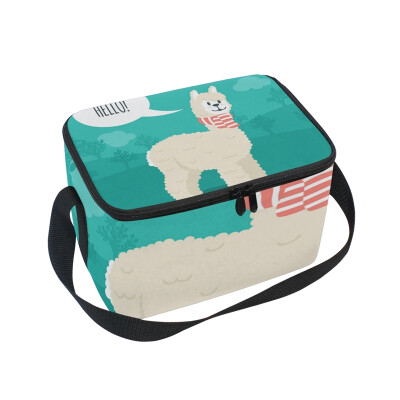 

Lunch Box Insulated Lunch Bag Large Cooler Hello Llama Tote Bagfor Kids Men Women